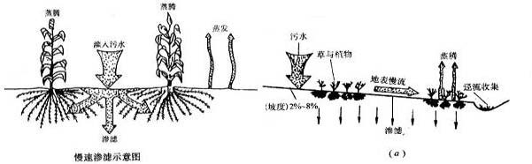 土地處理系統(tǒng)對(duì)污水凈化的主要原理-樂中環(huán)保